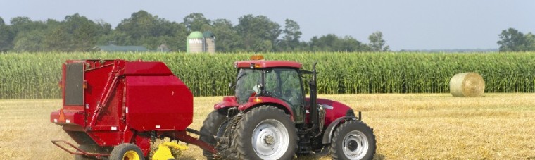 iStock_000015289060Small